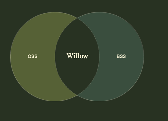 Willow OSS BSS Technology Platform